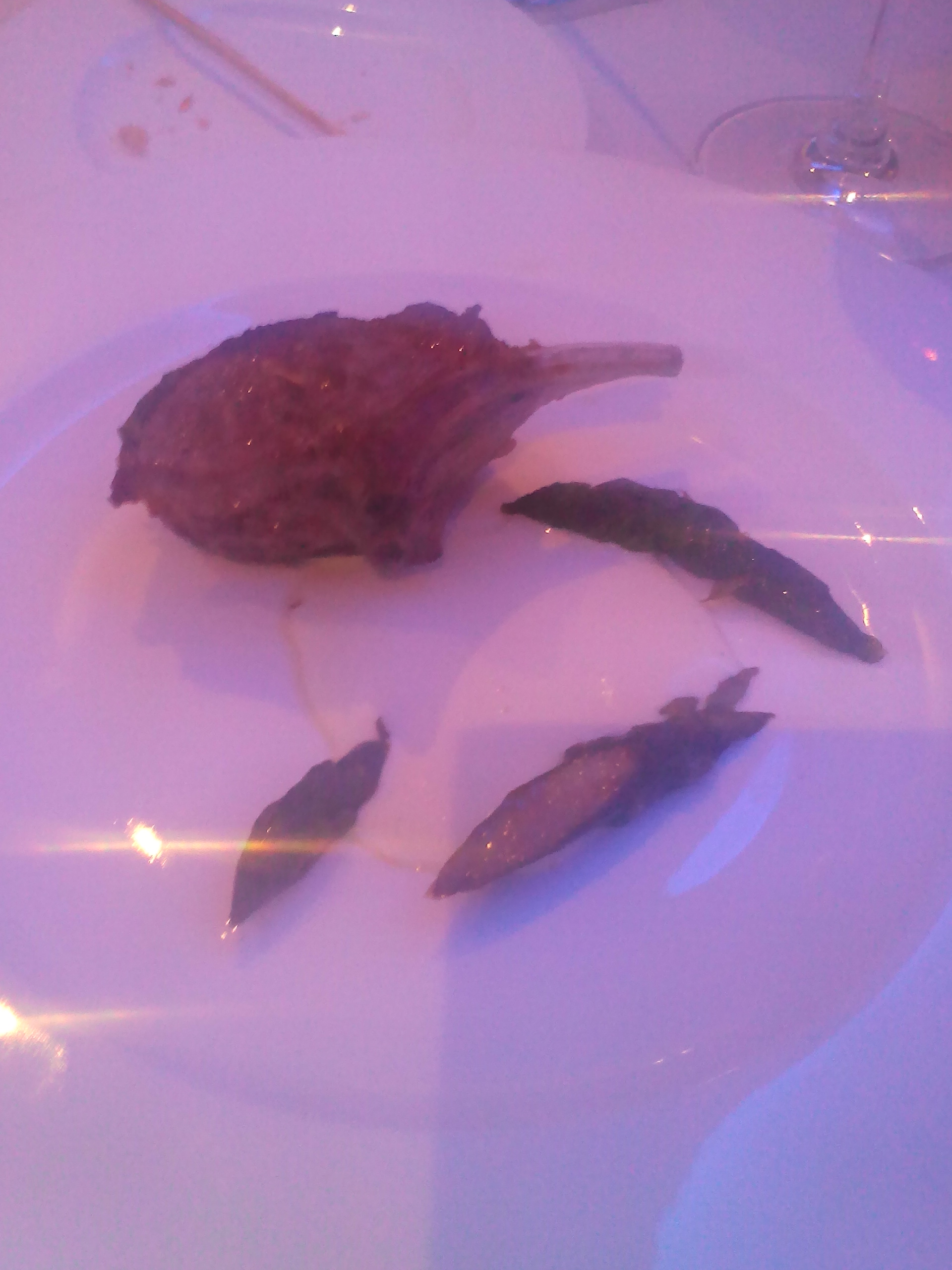 Evoluzione Restaurant review